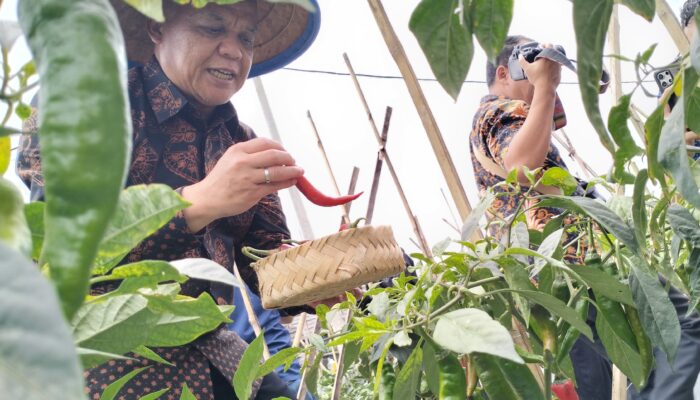 Harga Cabai di Tasik Dijaga Tetap Terkendali