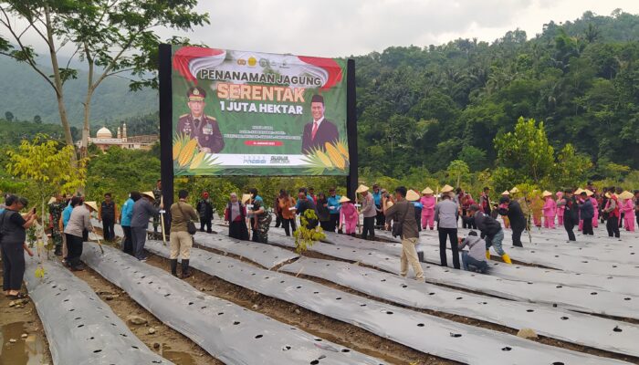 Menanam Jagung pada Lahan 34 Hektare dalam Sehari di Kabupaten Tasikmalaya