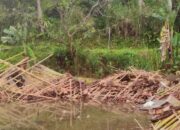 Kandang Ayam dan Rumah Hancur Diterpa Angin Kencang