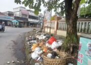 Sampah dan Bangkai Binatang Kotori Depan Kaum Singaparna