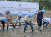 Wagub Jabar Erwan Setiawan Panen Padi Cikawasen