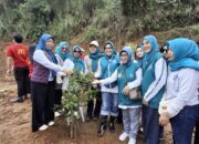 PKK Jabar Terjun Langsung Hijaukan Lahan Bekas Hibisc Fantasy