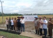 Pemdaprov Jabar dan AGRINAS Dukung PT ELFAM AGRI INDUSTRI Kembangkan Penangkaran Benih Padi Varietas Cikawasen