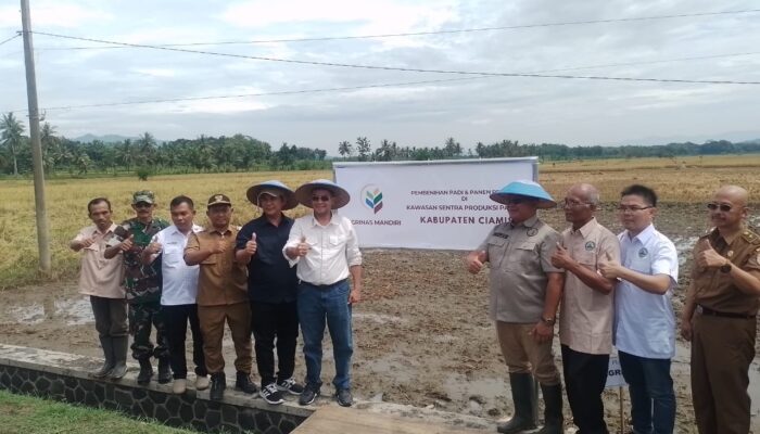 Pemdaprov Jabar dan AGRINAS Dukung PT ELFAM AGRI INDUSTRI Kembangkan Penangkaran Benih Padi Varietas Cikawasen