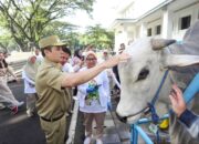 Satgas Kurban Bandung Siap Kawal Kesehatan Hewan
