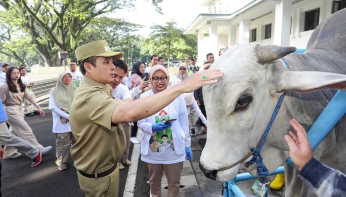 Satgas Kurban Bandung Siap Kawal Kesehatan Hewan