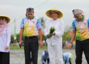 KDM Dukung Swasembada Pangan Lewat Penanaman Padi di Lahan Aset Negara