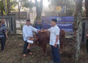 Pangkalan TNI AL Bandung Laksanakan Penyembelihan dan Penyaluran Daging Hewan Kurban 