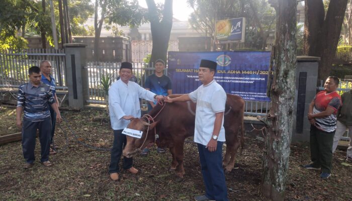 Pangkalan TNI AL Bandung Laksanakan Penyembelihan dan Penyaluran Daging Hewan Kurban 