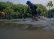 Batas Pesisir Bergeser, EIGER Films Hadirkan Film Dokumenter “Matra Pantura” Tentang Dampak Iklim