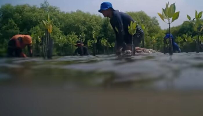 Batas Pesisir Bergeser, EIGER Films Hadirkan Film Dokumenter “Matra Pantura” Tentang Dampak Iklim