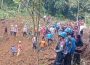 Dibantu Anjing Pelacak, Pencarian Korban Tertimbun Longsor Tenjowaringin Belum Buahkan Hasil