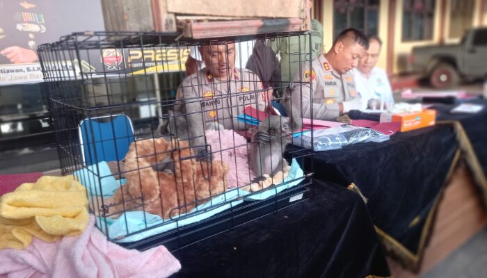 Jual Hewan Dilindungi, Warga Tasikmalaya Berurusan dengan Polisi