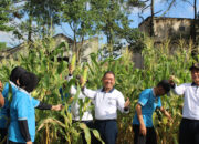 Lanal Bandung Gelar Panen Raya Dukung Ketahanan Pangan Nasional