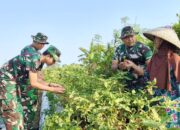 Kolaborasi TNI AU dan Warga Garut: Sinergi Kuat Perkuat Ketahanan Pangan