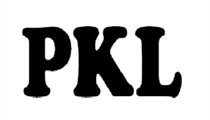 Satpol PP Jabar Pastikan 234 PKL di Subang Direlokasi