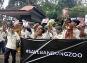 Harapan Pekerja Bandung Zoo di Tengah Keterbatasan