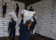 Musim Tanam Lebih Dini, Pupuk Kujang Siap Distribusikan Pupuk