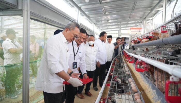 Rumah Pangan PNM: Menko Pangan RI Panen Brokoli hingga Ayam Petelur