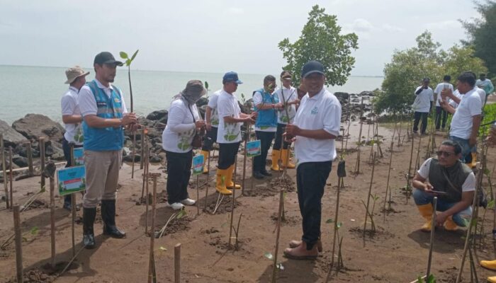 HUT ke-30 PT PLN NP UP Indramayu| Penanaman 2.500 Pohon