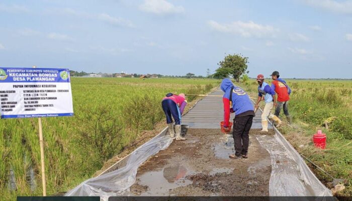 Pembangunan Infrastruktur Jalan di Desa Pelawangan, Warga: Akses Cepat dan Nyaman
