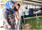 Ngalong, Terobosan Pemkab Bandung Barat Dalam Tingkatkan Produksi Budidaya Ikan Hias