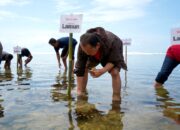 Berbagi Hepi dengan Donasi Poin: Aksi Nyata Bersama Pelanggan, Tanam 3.000 Bibit Lamun dan Bangun Rumah Kultivasi di Pantai Karapyak Pangandaran