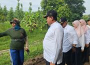 Tak Lagi Khawatir Kekeringan, Bendung Cariang Permanen Siap Aliri 1.603 Hektar Sawah di Ujungjaya