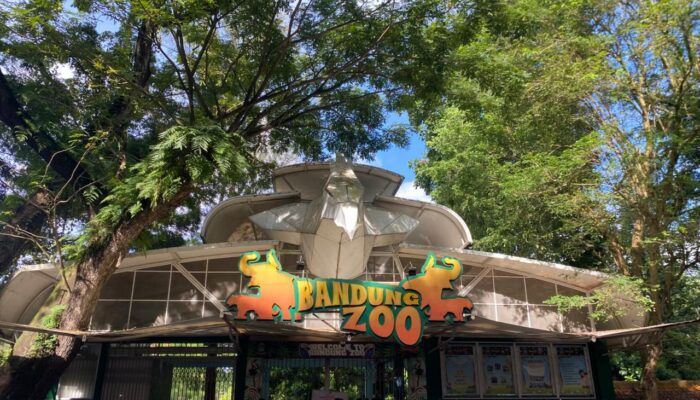 Izin YMT Dicabut, Negara Ambil Alih Kebun Binatang Bandung Demi Selamatkan Satwa