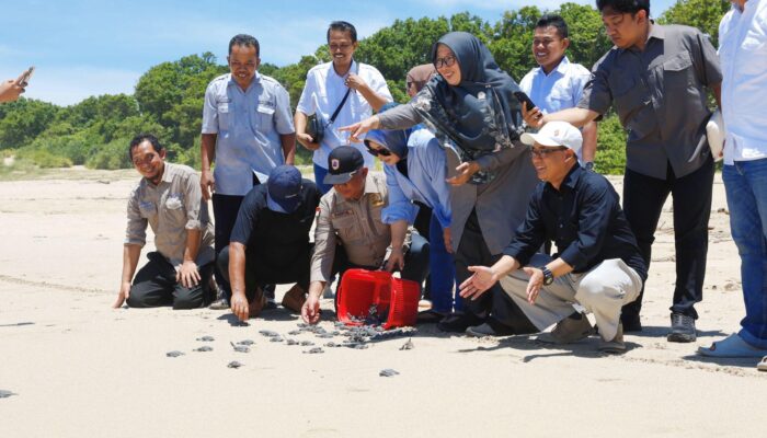 Kunjungan ke Ujung Genteng, Komisi II DPRD Jabar Temukan Kendala Listrik di Satpel Penyu Pangumbahan