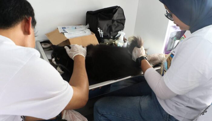 Kota Bandung Tetap Zona Bebas Rabies, Kasus di Warung Muncang Dipastikan Aman