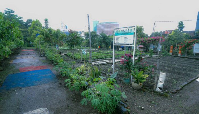 Program Sirkular Bandung Utama Sukses Ubah Sampah Jadi Berkah Pangan Keluarga