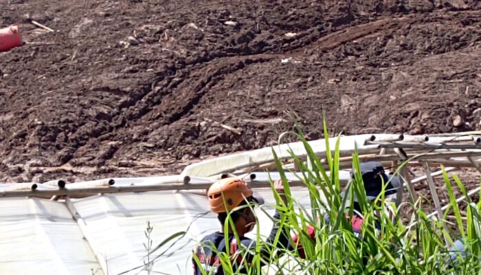 Dinamika Lapangan Tinggi, Jumlah Temuan Jasad Longsor Pasirlangu Kini Tembus 83 Bodypack