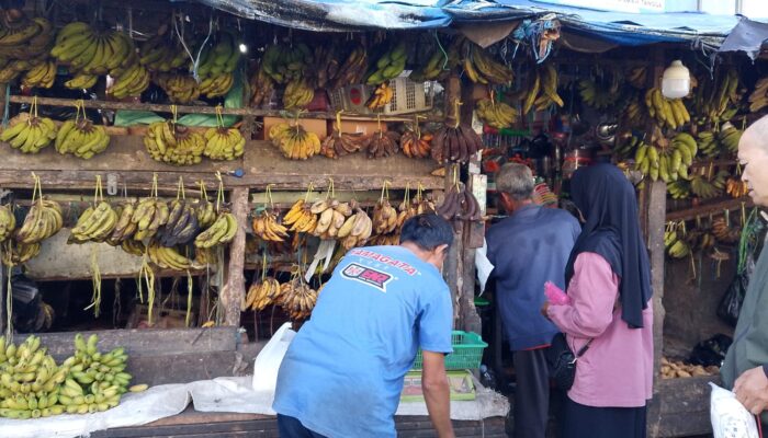Menjelang Lebaran, Dua Jenis Pisang Favorit Warga Singaparna Langka di Pasaran