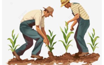 Revolusi Sawah di Ujungjaya: Forkopimcam dan Forum Gapoktan Resmi Seragamkan Tarif Alsintan!