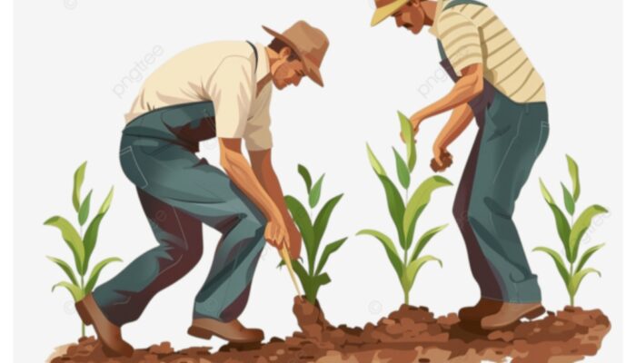 Revolusi Sawah di Ujungjaya: Forkopimcam dan Forum Gapoktan Resmi Seragamkan Tarif Alsintan!
