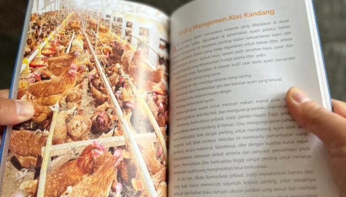 Panduan Budi Daya Ayam Petelur Cage-Free Skala Komersial Pertama di Indonesia Resmi Diterbitkan