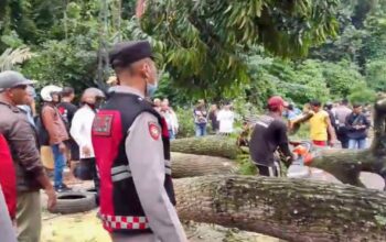 Polisi Evakuasi Pohon Tumbang di Nagreg