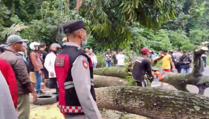 Polisi Evakuasi Pohon Tumbang di Nagreg