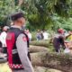 Polisi Evakuasi Pohon Tumbang di Nagreg
