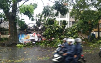 Dago Hingga Pasteur Terdampak, Puluhan Pohon Tumbang  Akibat Cuaca Ekstrem