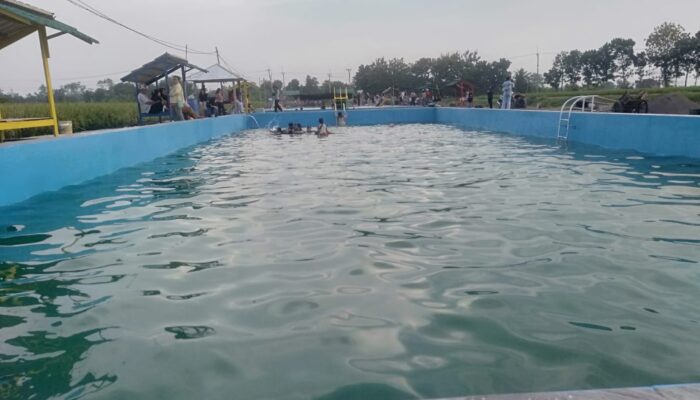 Pemdes Kertanegara Buka Usaha Kolam Renang Untuk Warga Sumber Anggaran PADes