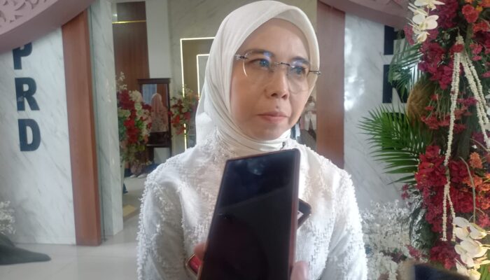 Ineu Purwadewi Sundari Apresiasi Perkembangan Pembangunan Sumedang di Usia ke-448
