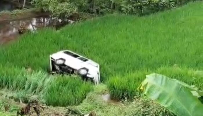 Hendak Jemput Rombongan Pengajian, Angkot di Cigalontang Malah Nyungseb ke Jurang Sedalam Puluhan Meter