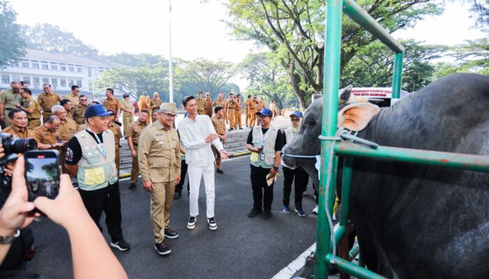 Pemkot Bandung Terjunkan 184 Petugas Awasi Kesehatan Hewan Kurban 2026