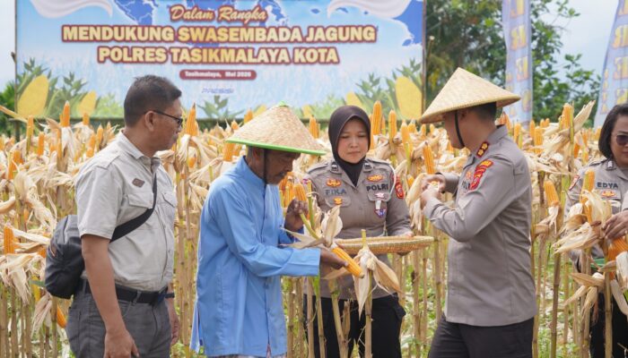 Polres Tasikmalaya Kota Panen Raya di Cisayong, 6 Ha Hasilkan 10 Ton Jagung