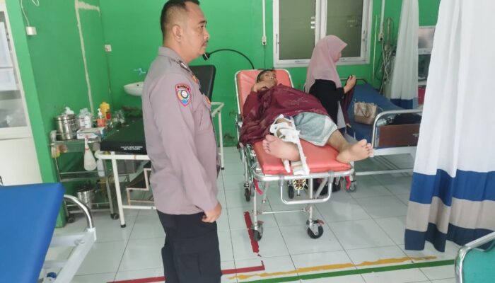 Melintas di Jalur Salopa Tasikmalaya, Suami Istri Nyaris Tewas Tertimpa Pohon Kelapa yang Tumbang