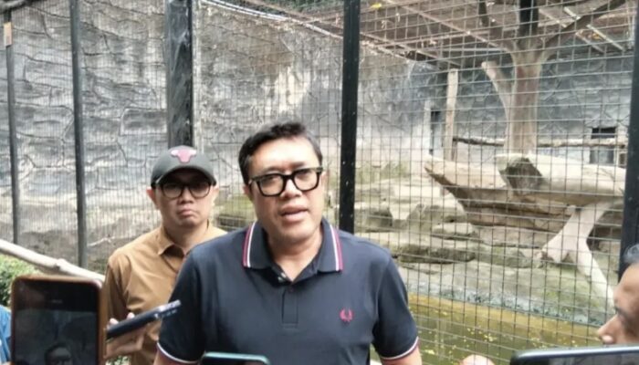 Lewat Gotong Royong Kader, Ono Surono Gelontorkan Bantuan Lanjutan untuk Bandung Zoo