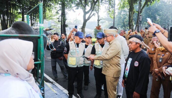 Tim Post Mortem DKPP Kota Bandung Temukan Cacing Hati pada Hewan Kurban, Organ Rusak Langsung Diafkir