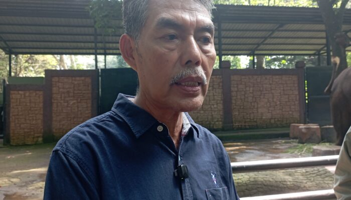Sinergi Lintas Sektor Jaga Kondisi Bandung Zoo di Tengah Ketidakpastian Masa Transisi